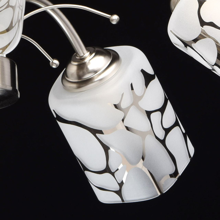 картинка Потолочный светильник Олимпия 261019505