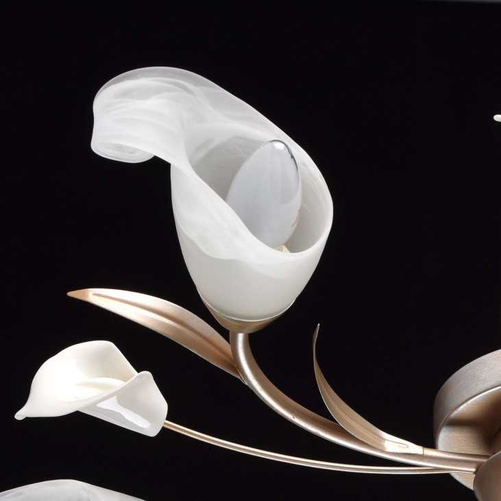 картинка Потолочный светильник Восторг 242016205