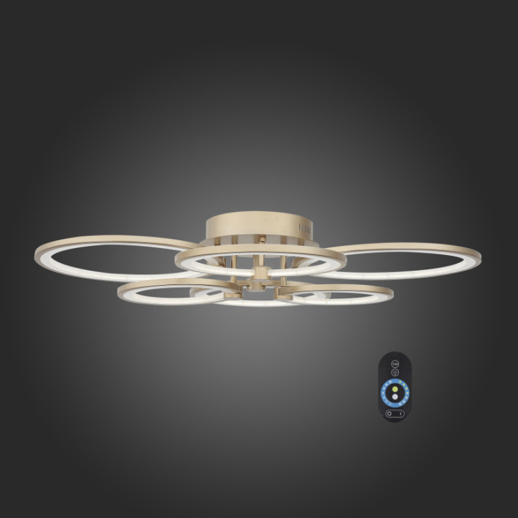 картинка Накладной светильник SL867.202.06
