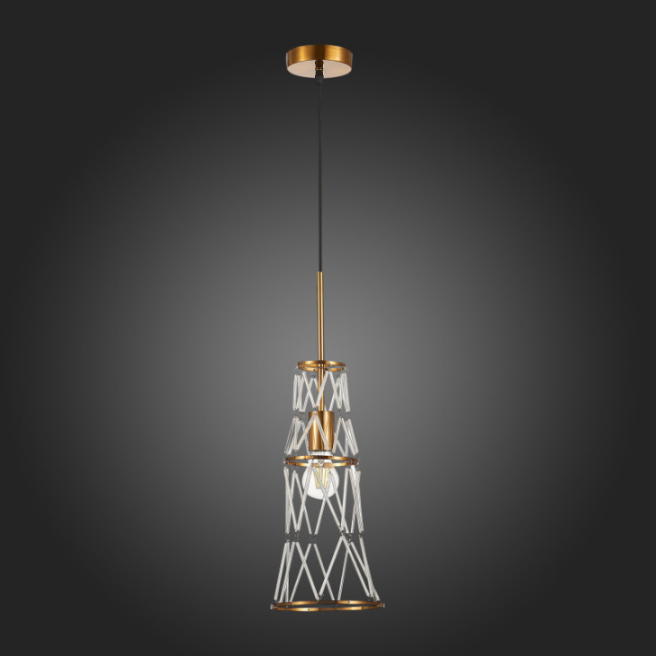 картинка Подвесной светильник SL1016.203.01