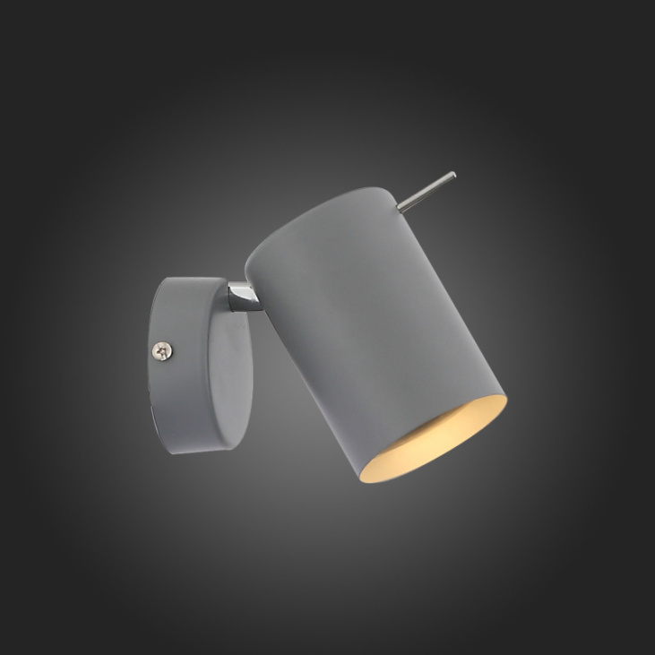 картинка Спот SL597.701.01