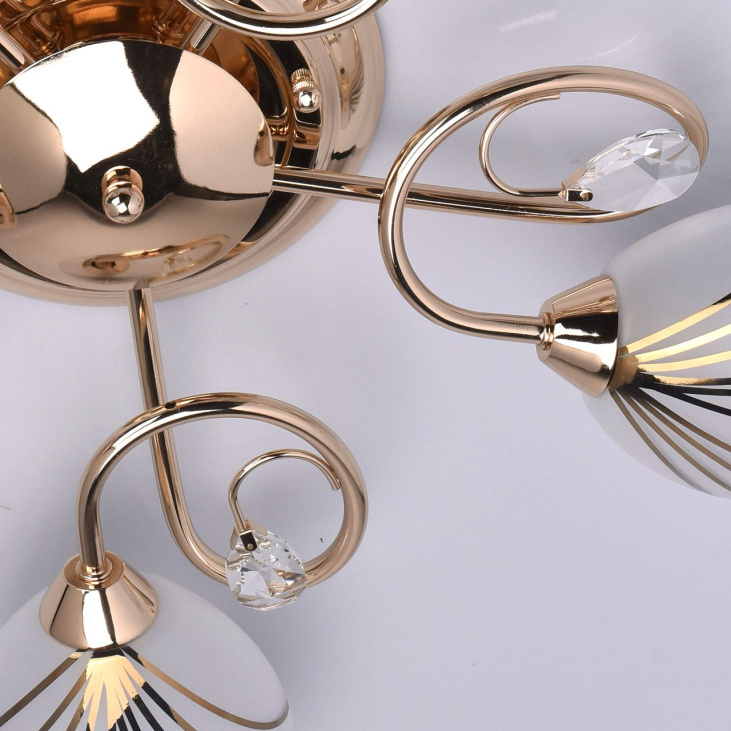 картинка Потолочный светильник Фиеста 267012005