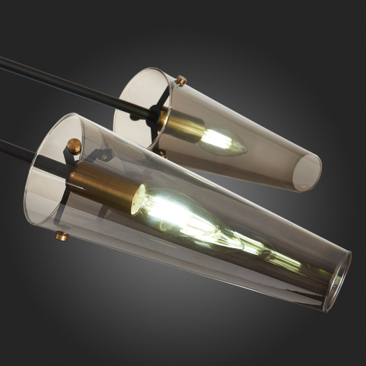 картинка Люстра SL1209.302.06