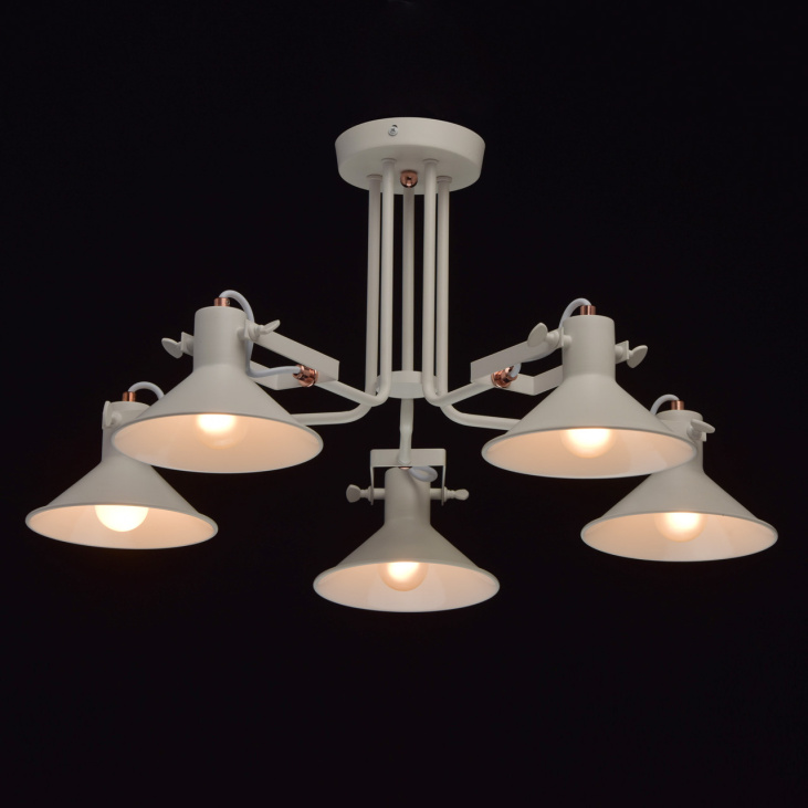 картинка Потолочный светильник Таун 691010705