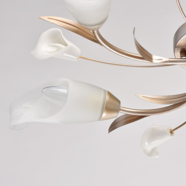 картинка Потолочный светильник Восторг 242016205