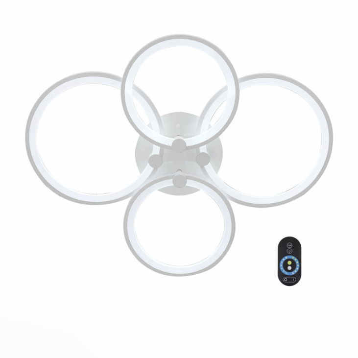 картинка Накладной светильник SL867.502.04