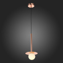 картинка Подвесной светильник SL1055.203.01