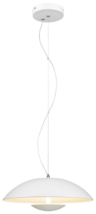 картинка Подвесной светильник WE435.01.006
