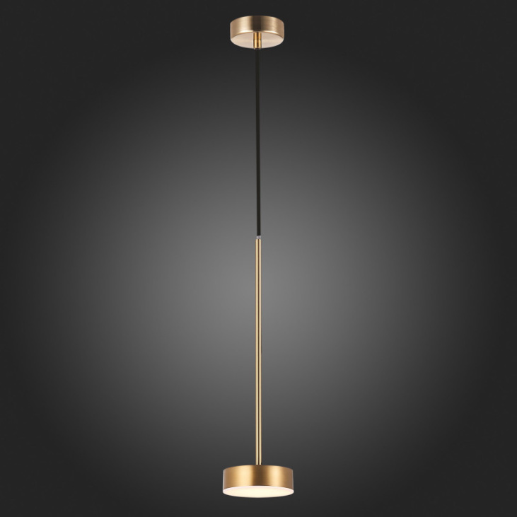 картинка Подвесной светильник SL6000.303.01