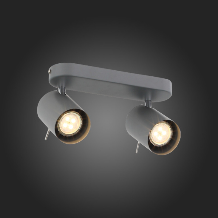 картинка Спот SL597.701.02