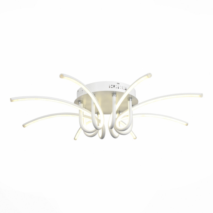 картинка Накладной светильник SL953.502.08