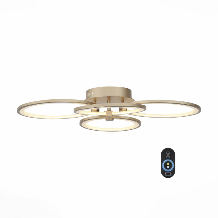 картинка Накладной светильник SL867.202.04