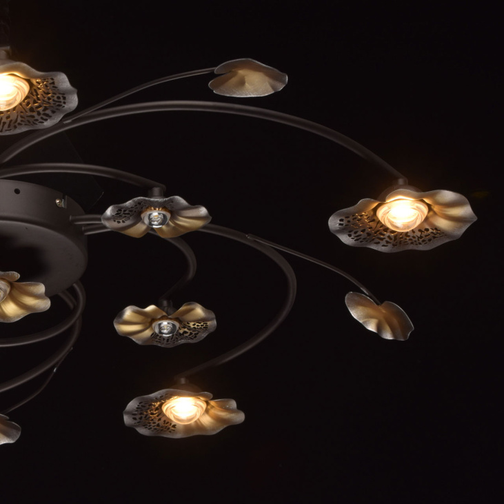 картинка Потолочный светильник Адриатика 280011611