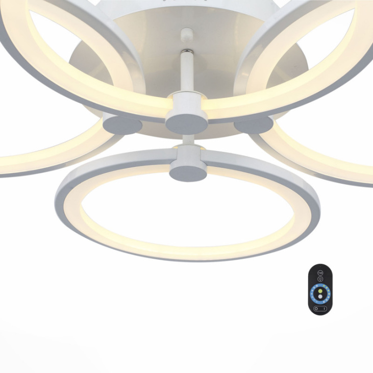 картинка Накладной светильник SL867.502.04