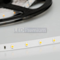 картинка Светодиодная лента RT 2-5000 24V (3528, 300 LED, LUX-3) (LED-ленты)