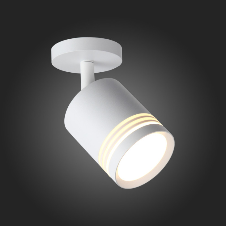 картинка Спот ST101.512.05