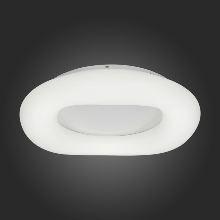 картинка Накладной светильник SL960.532.01D