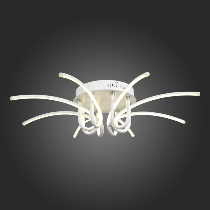 картинка Накладной светильник SL953.502.08