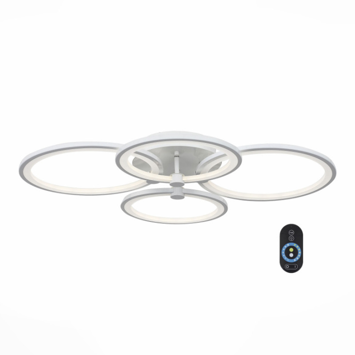 картинка Накладной светильник SL867.502.04