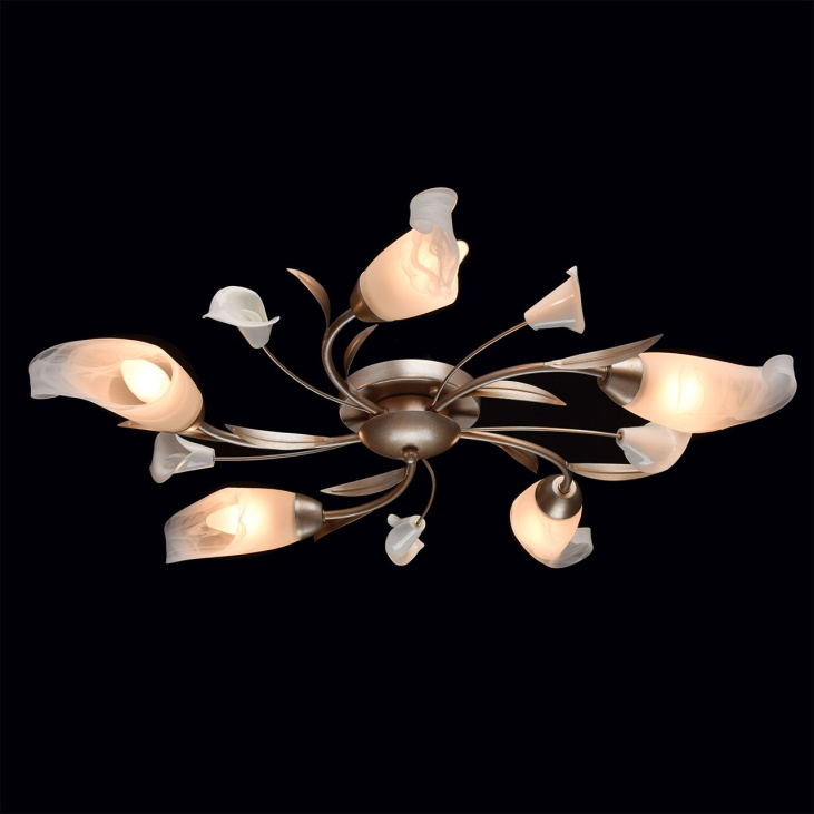 картинка Потолочный светильник Восторг 242016205