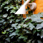  в интерьере