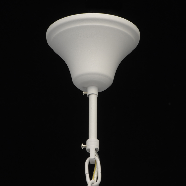 картинка Потолочный светильник ДельРей 700011708