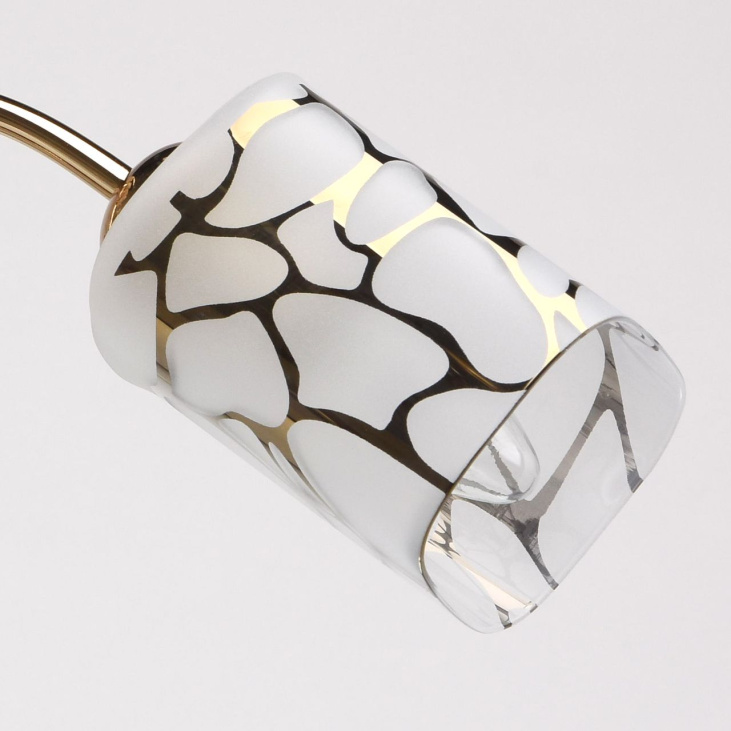 картинка Потолочный светильник Олимпия 638010203