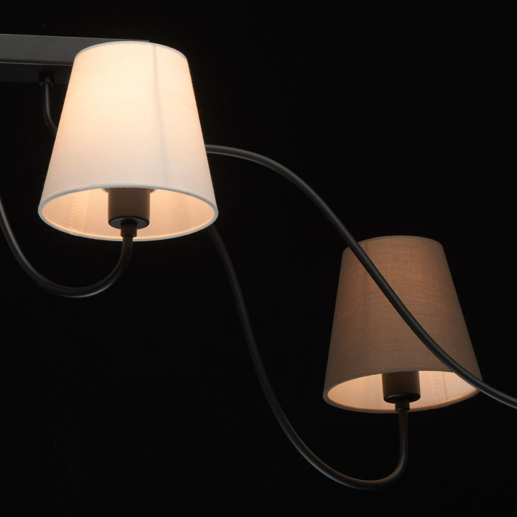 картинка Потолочный светильник Эйберген 723010106