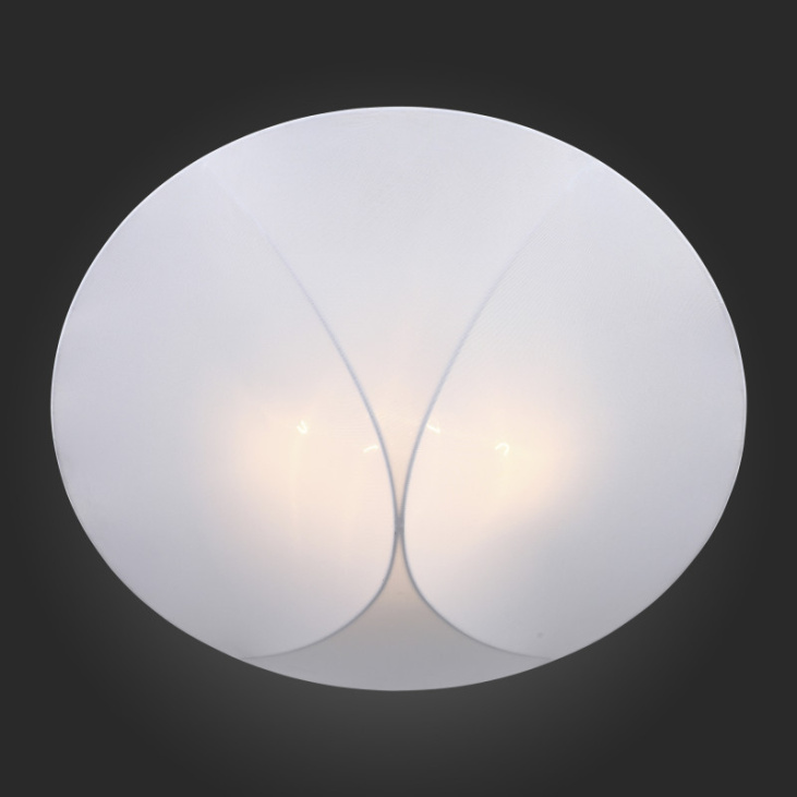 картинка Накладной светильник SL360.552.04