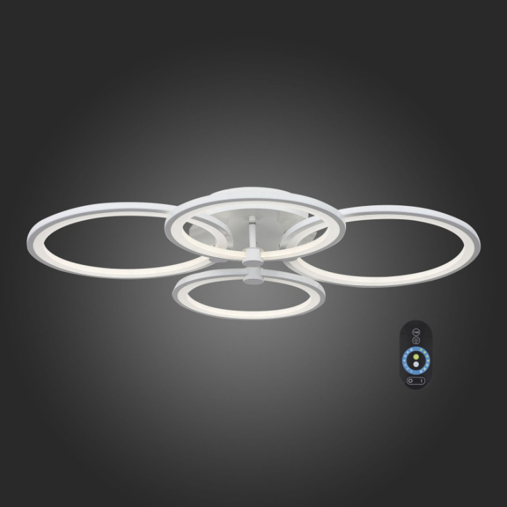 картинка Накладной светильник SL867.502.04