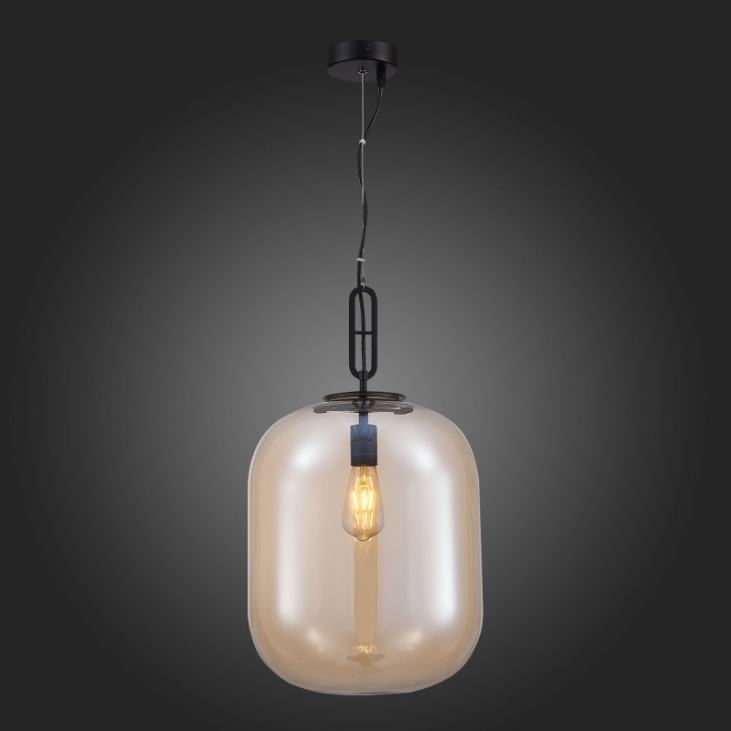 картинка Подвесной светильник SL1050.413.01