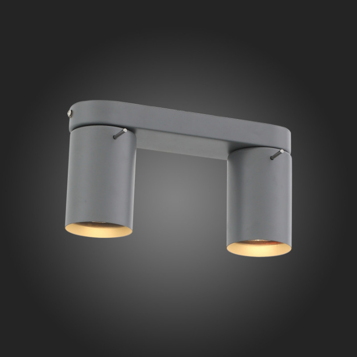 картинка Спот SL597.701.02