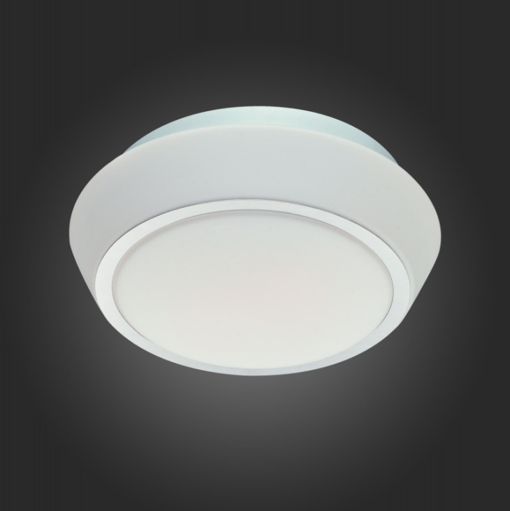 картинка Накладной светильник SL496.502.01