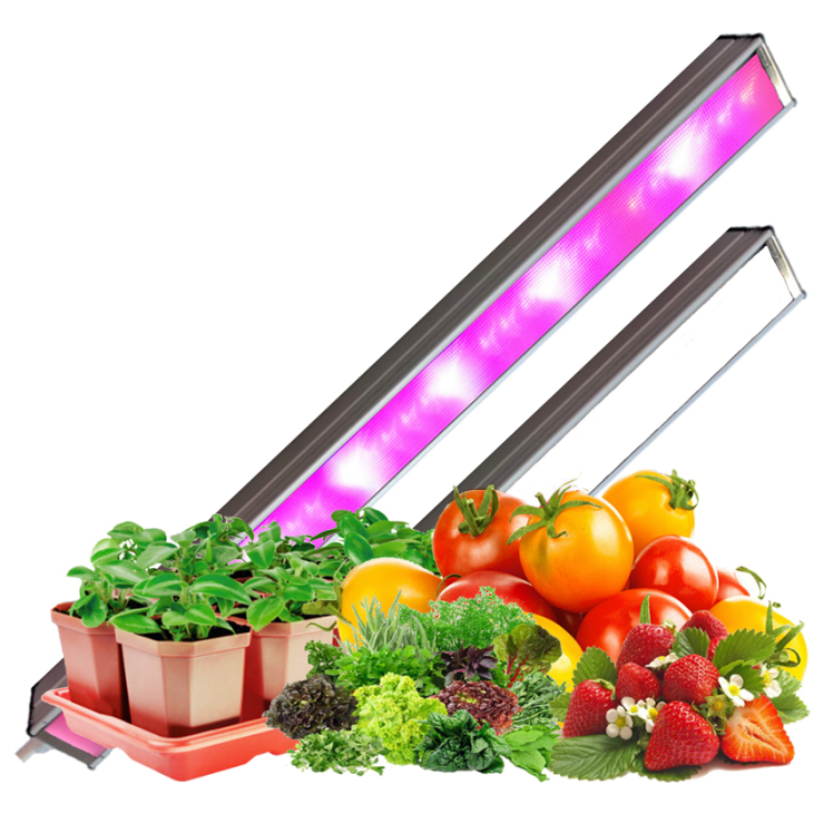 картинка Фитосветильник SSO-220/48-05.2(FGO-MWP)