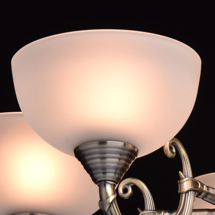 картинка Потолочный светильник Олимп 318011205