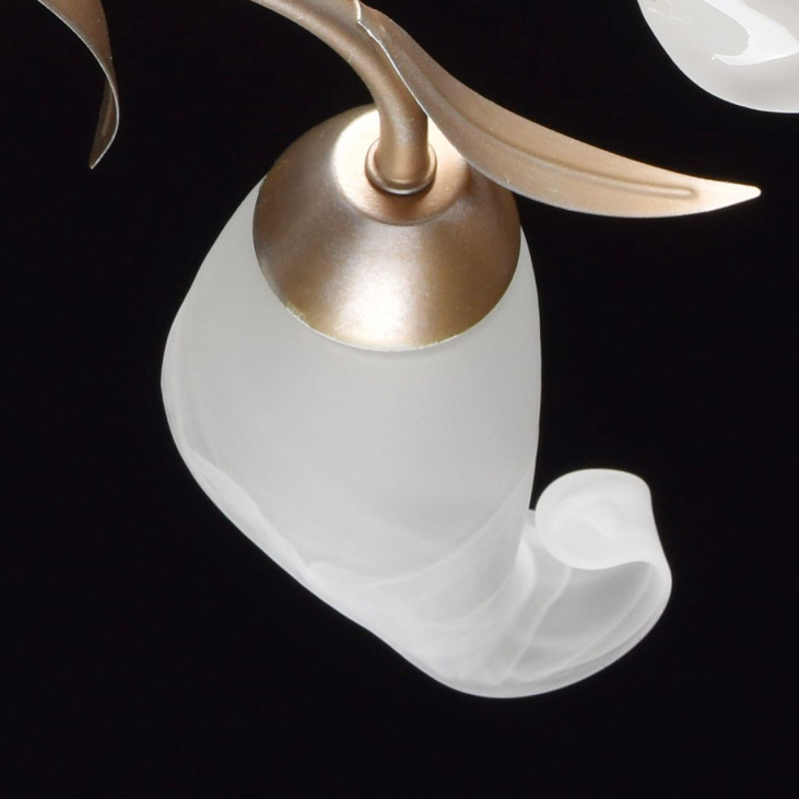 картинка Потолочный светильник Восторг 242016205