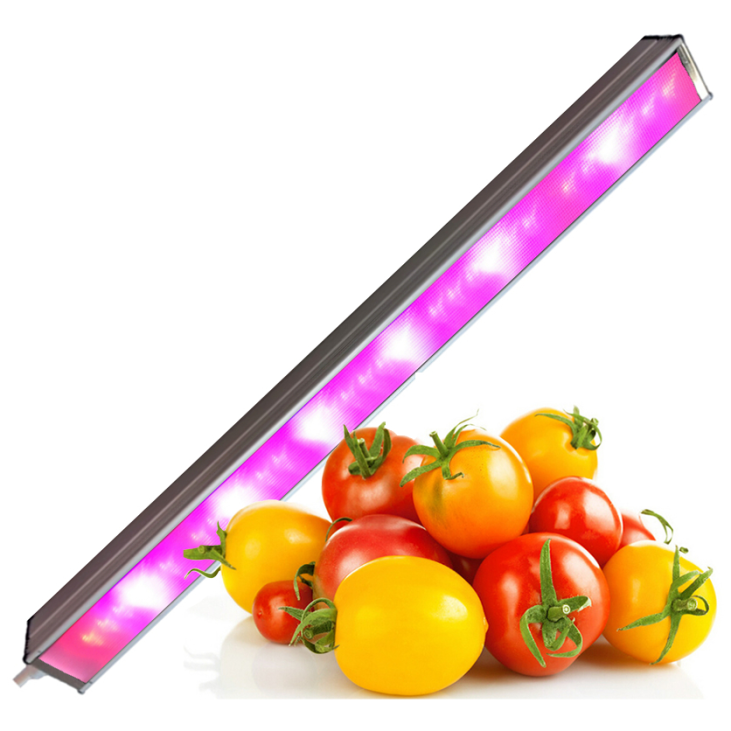 картинка Фитосветильник SSO-220/64-05.2(FGO-MP)