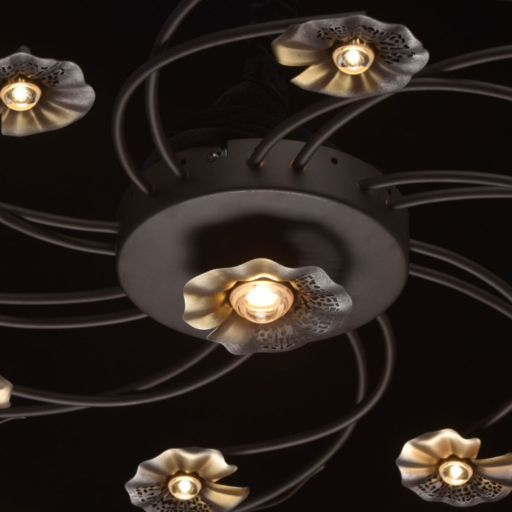 картинка Потолочный светильник Адриатика 280011517