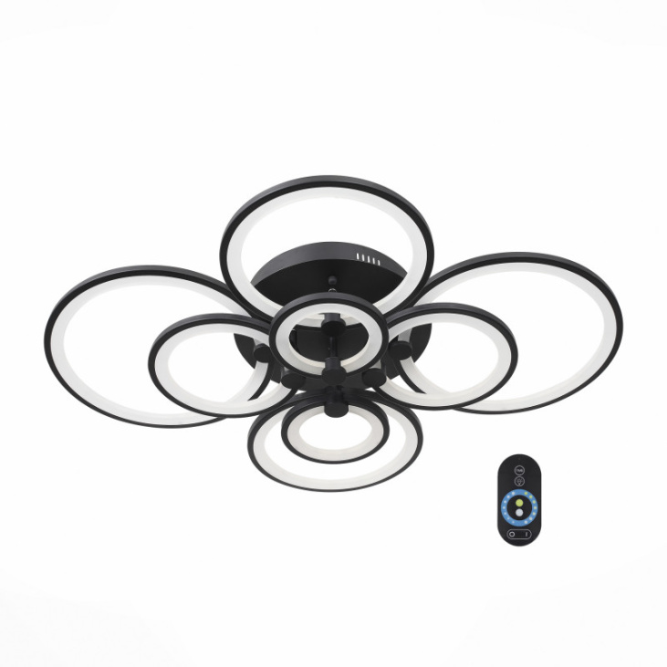 картинка Накладной светильник SL867.402.08