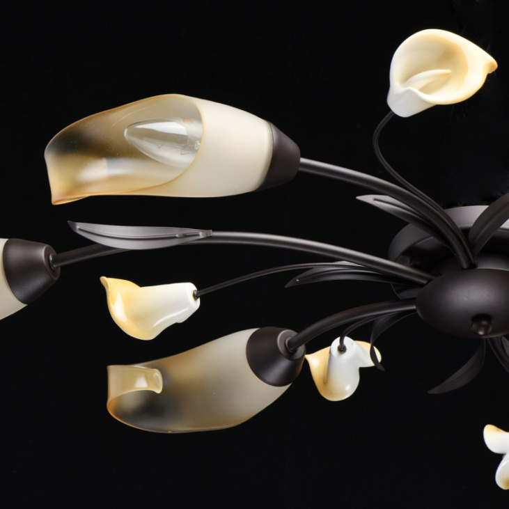 картинка Люстра 242017006