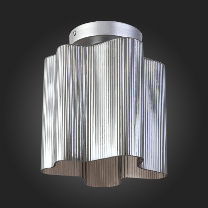 картинка Накладной светильник SL117.702.01