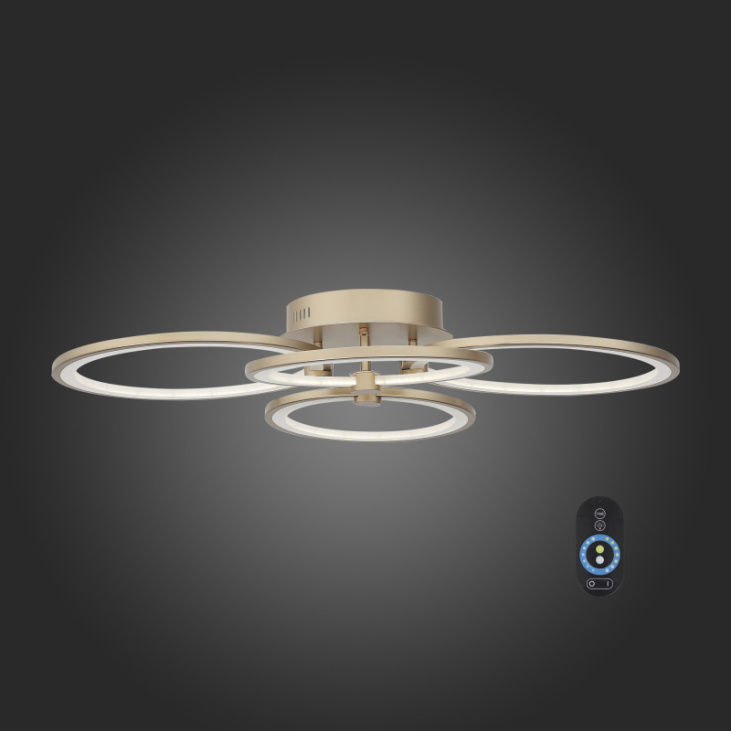 картинка Накладной светильник SL867.202.04