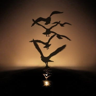 Ночник-тень Стая