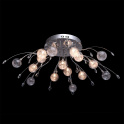 картинка Потолочный светильник Амелия 360014116