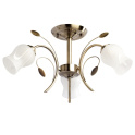 картинка Потолочный светильник Флора 256018103