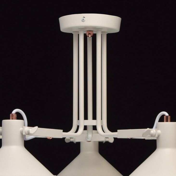 картинка Потолочный светильник Таун 691010705