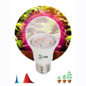 картинка Фитосветильник FITO-14W-RB-E27-K