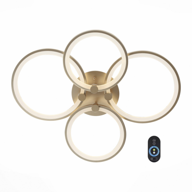 картинка Накладной светильник SL867.202.04