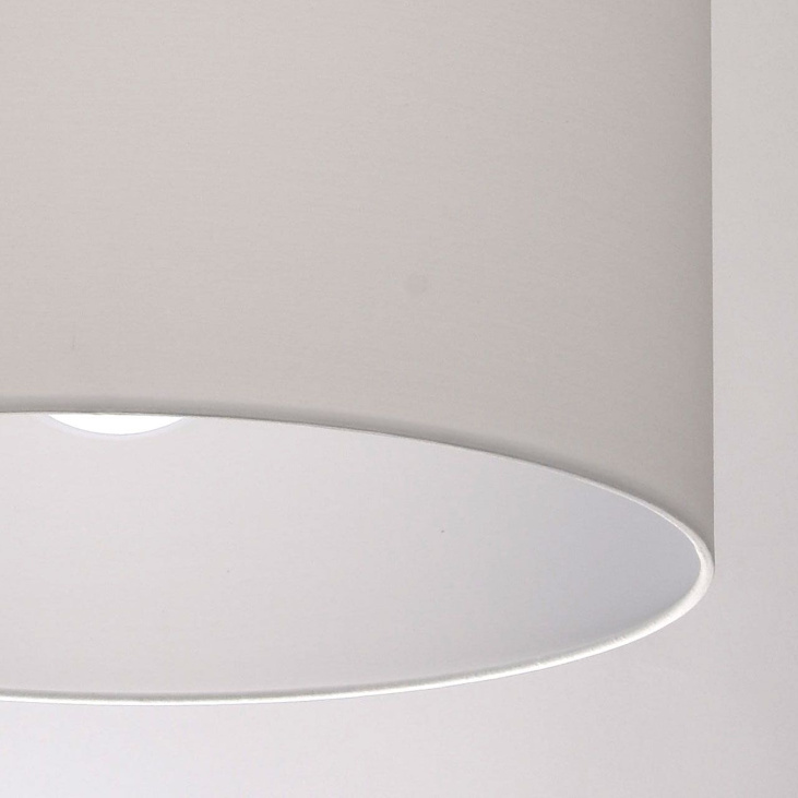 картинка Потолочный светильник Райне/Rheine 494012102