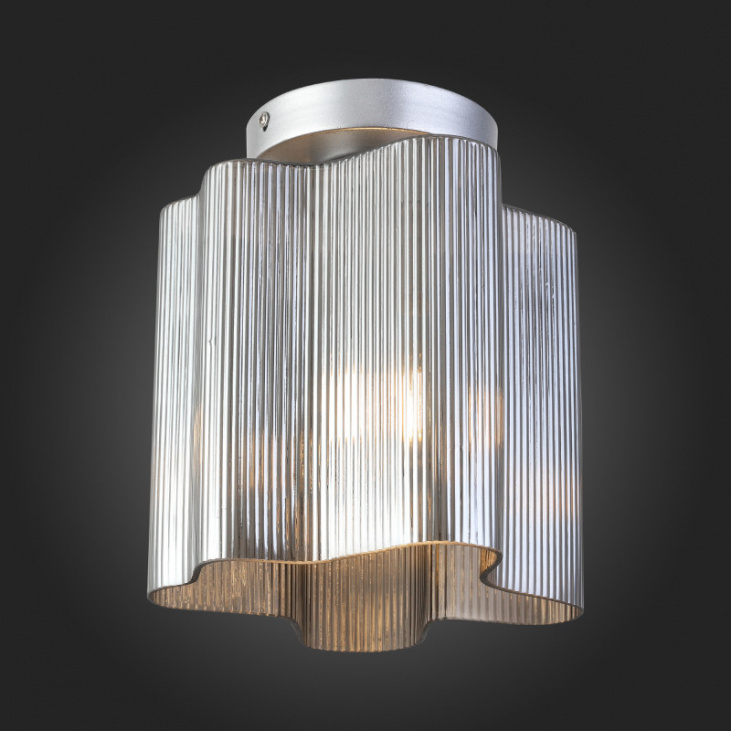 картинка Накладной светильник SL117.702.01